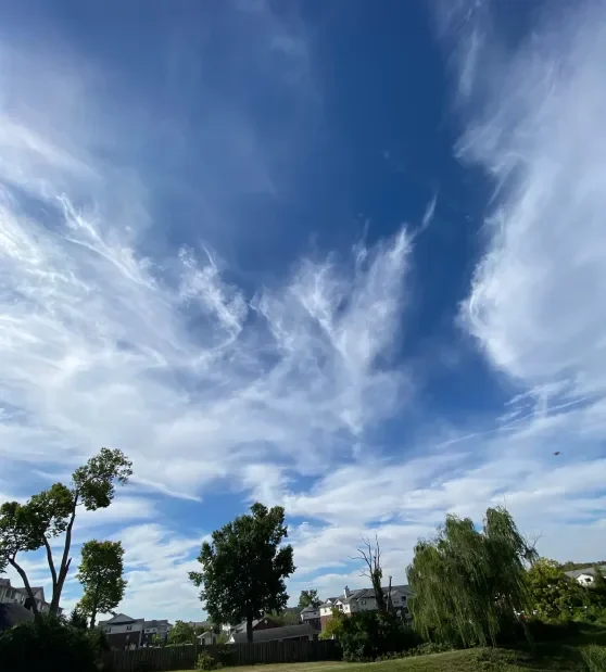 Grounding and Earthing