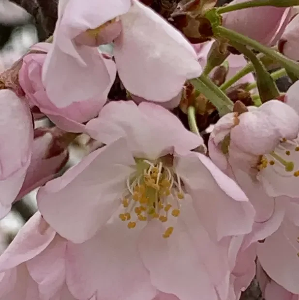 Grief Has Lingered in My Life And It’s Still With Me